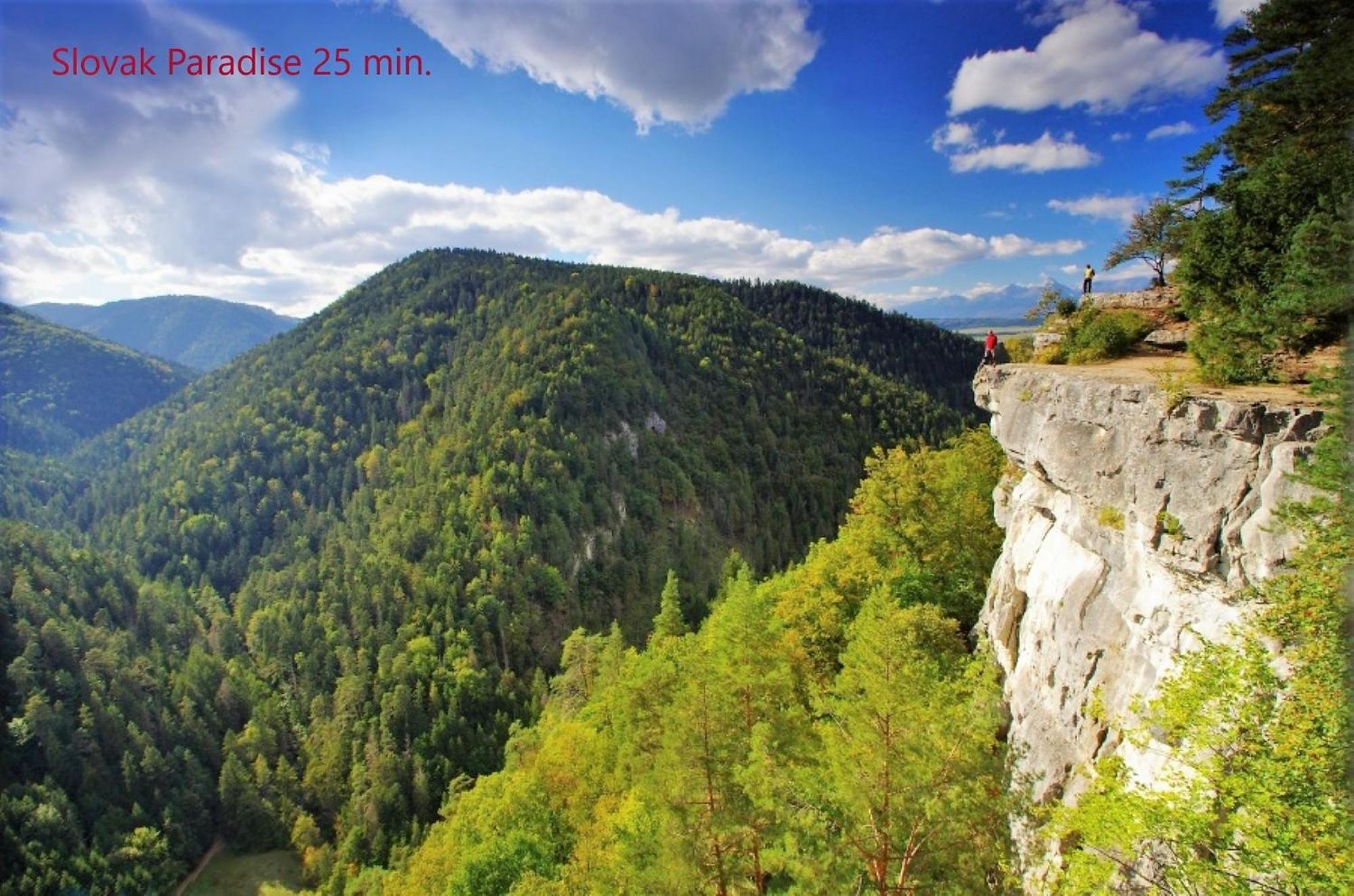 Tatrystay Cactus Premium Villa High Tatras Private Wellness Stará Lesná Εξωτερικό φωτογραφία